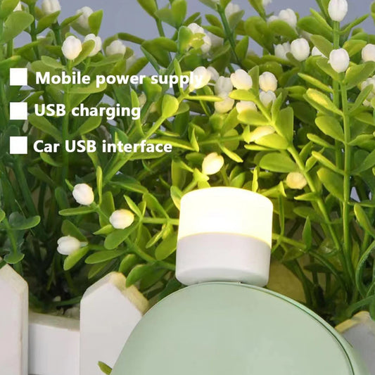Usb Led Lamp Night Light Mini Portable For Pc And Laptop (5 Pcs Mix Color) - BP4U